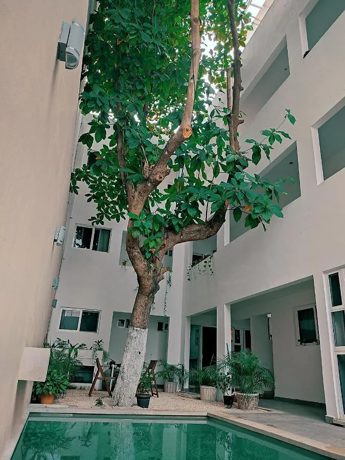 بلايا ديل كارمن Cozy Studios Zazil-Ha 0*, بلايا ديل كارمن