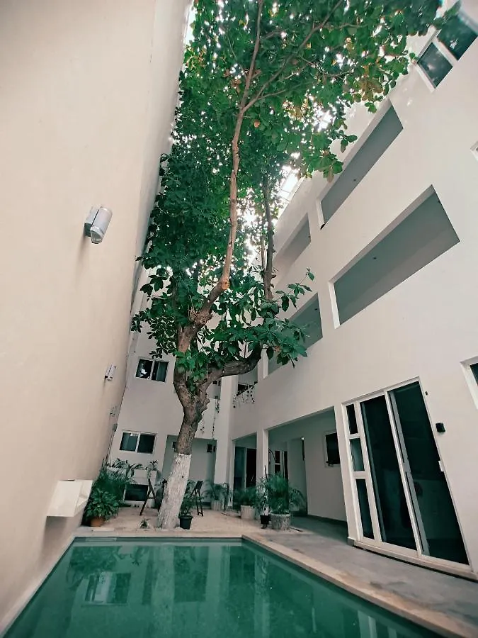 بلايا ديل كارمن Cozy Studios Zazil-Ha المكسيك